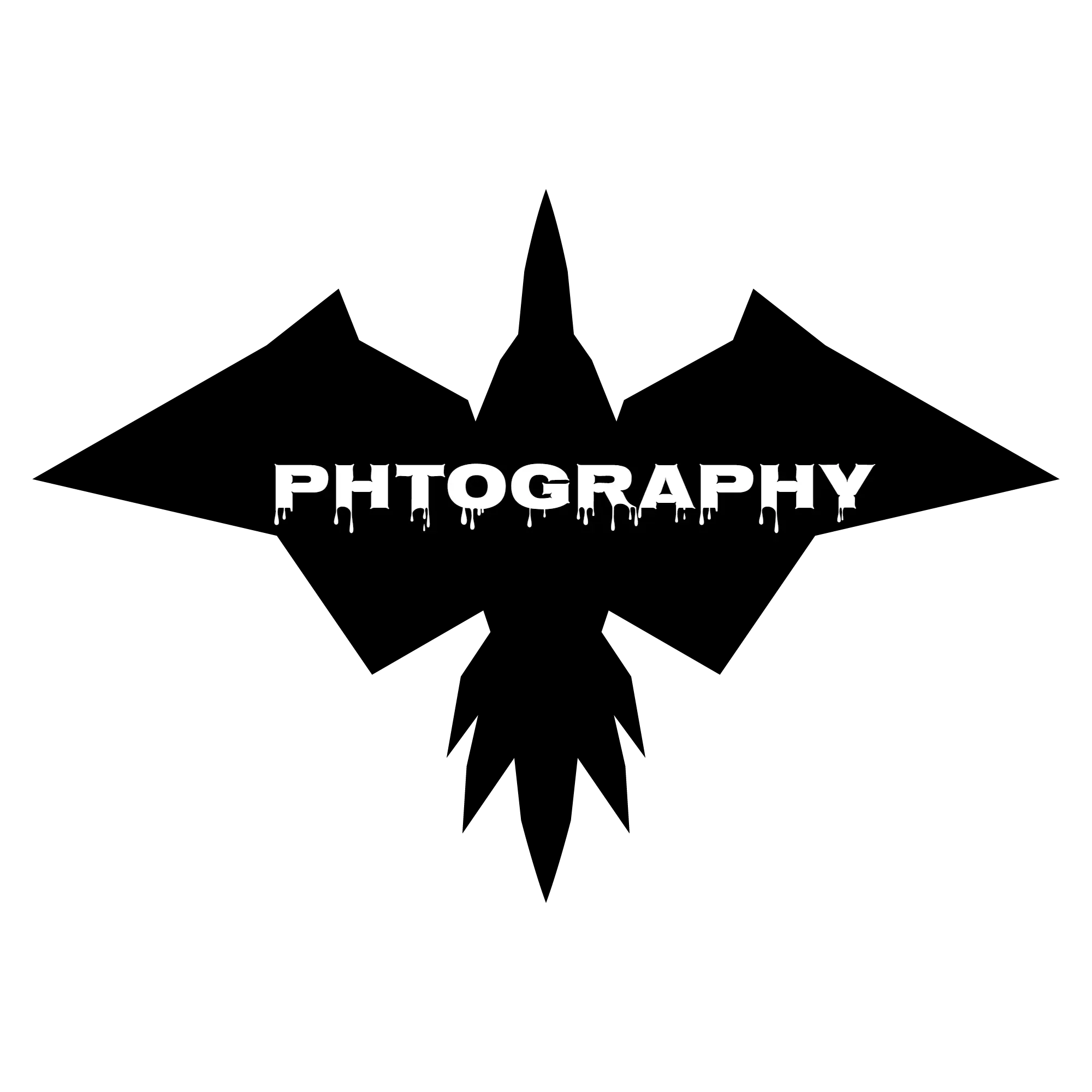 Photography